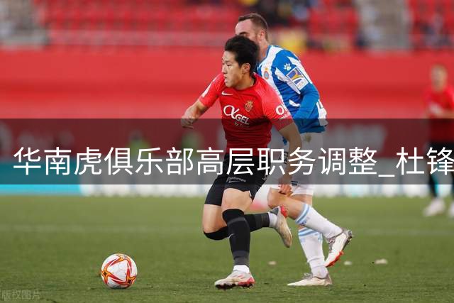 华南虎俱乐部高层职务调整 杜锋朱芳雨双双履新