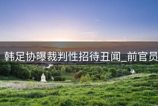 韩足协曝裁判性招待丑闻 前官员披露